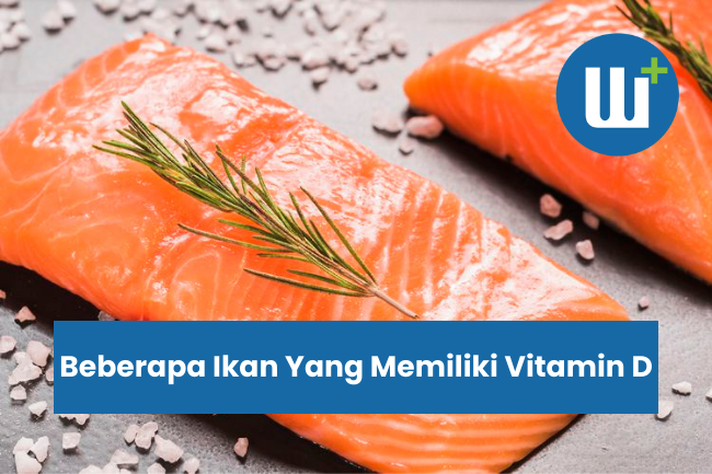 Beberapa Ikan Yang Memiliki Vitamin D